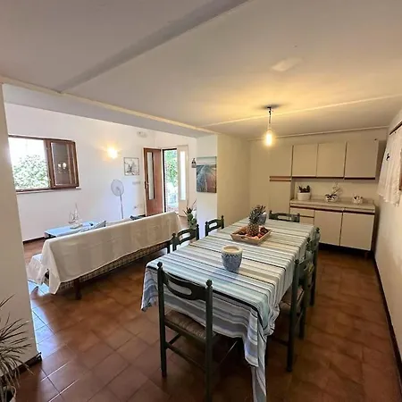 House * 리그나노 사비아도로